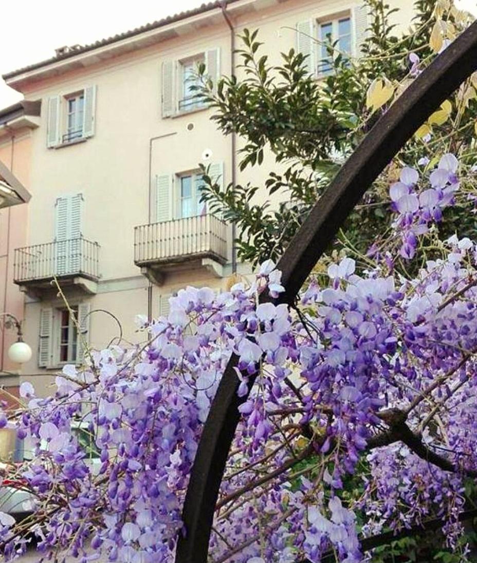 Casa Vacanze Stella แวร์บาเนีย ภายนอก รูปภาพ